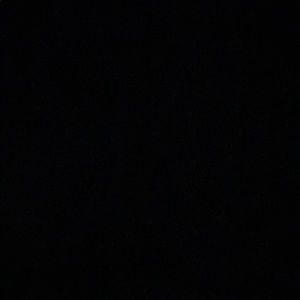 Meet your Posher, Bella